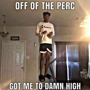 Meet your Posher, Jake